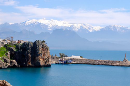 SEO Ajansı Seçimi: Dijital Başarınızı Profesyonellere Emanet Edin