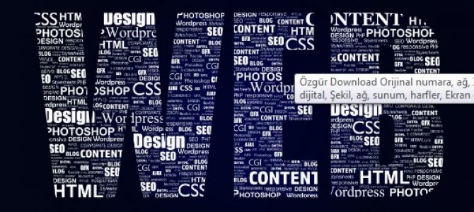 100 Adet Dofollow Backlink Paketi